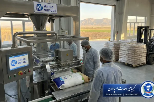 شیر خشک صادراتی